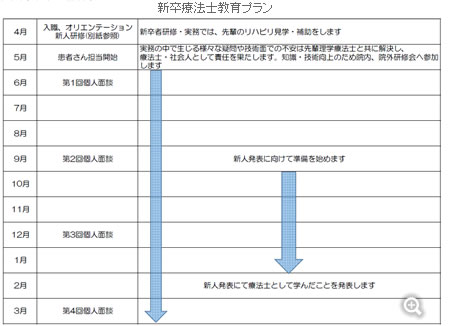 2015年度年次別チーム編成