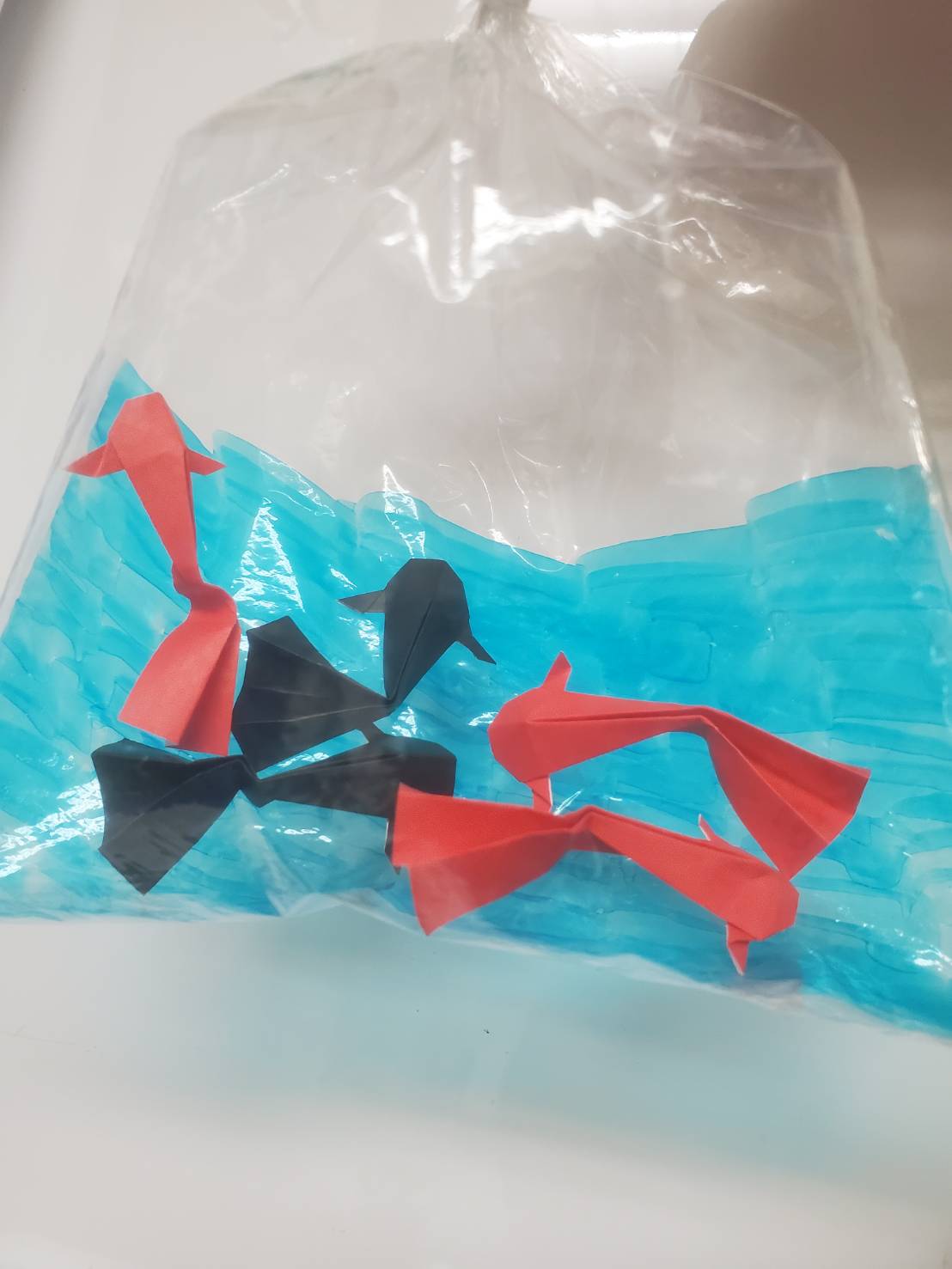 金魚